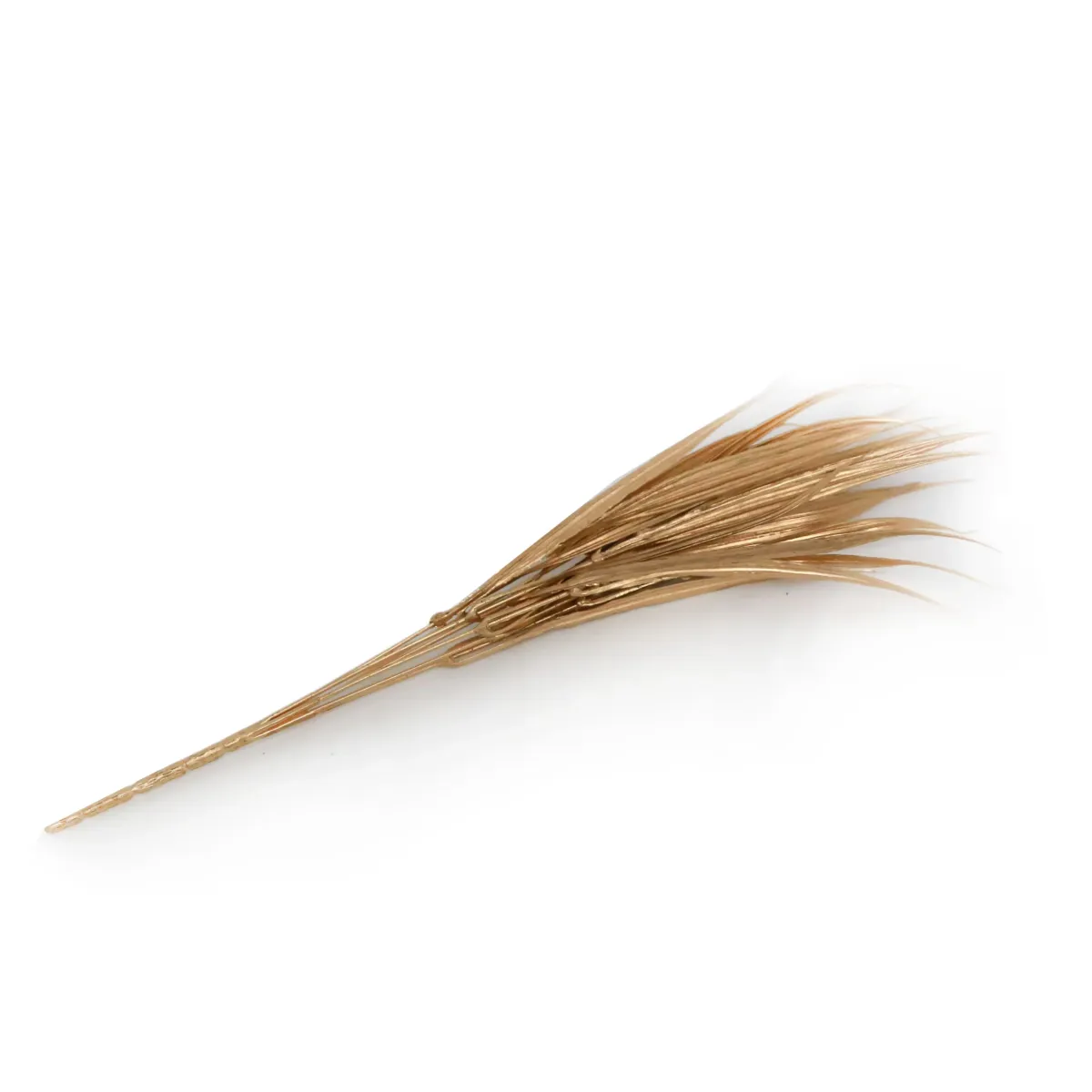 Gold Grass Leaves