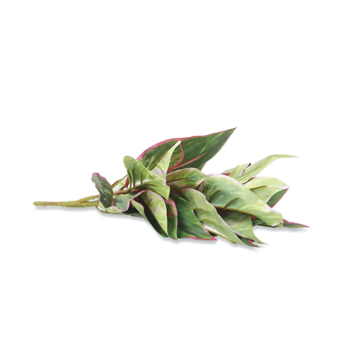 Artificial Green & Pink Algaonema Branch