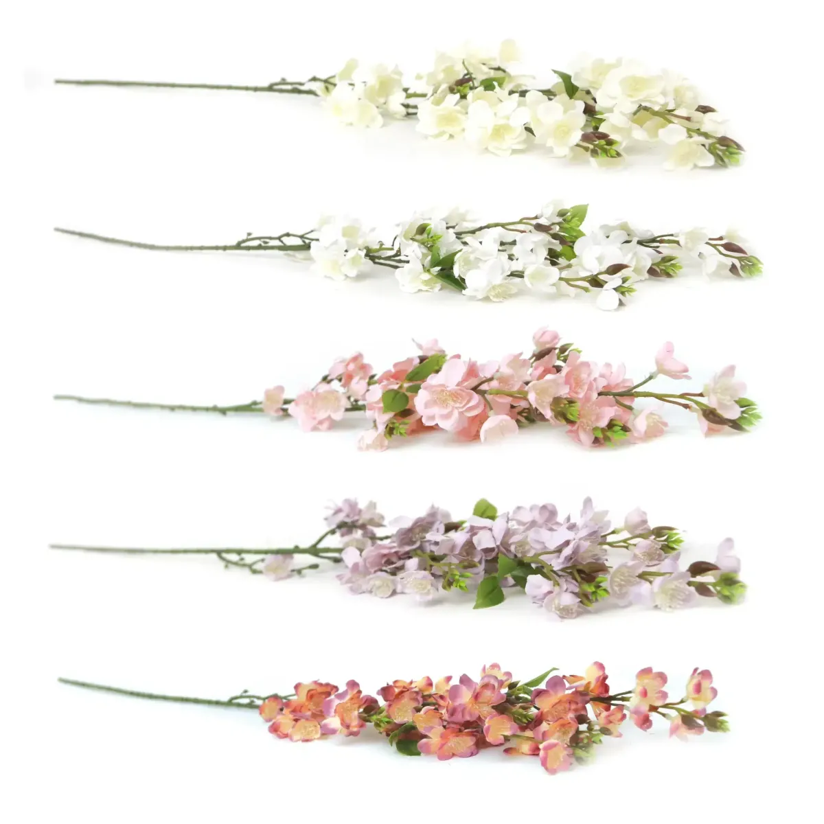 Cherry Blossom Branch
