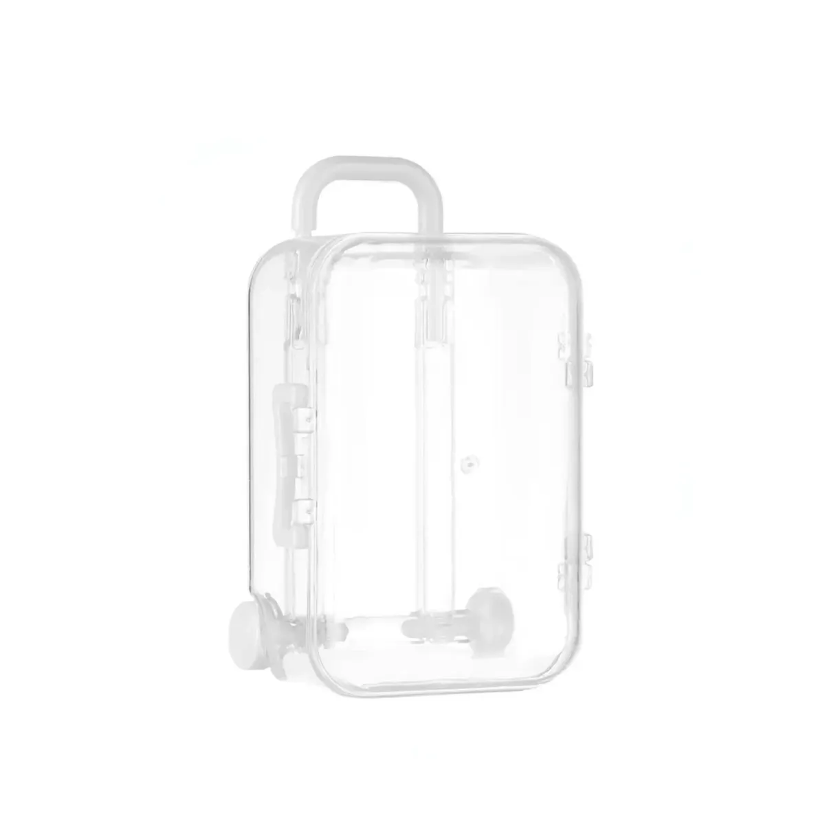 Travel Bag Plexi Container