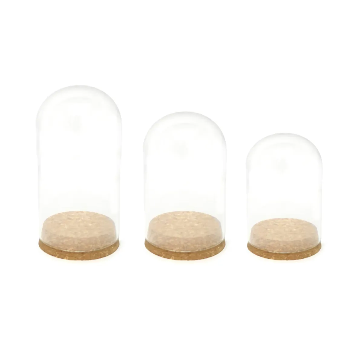 Cork Bottom Glass Dome Container
