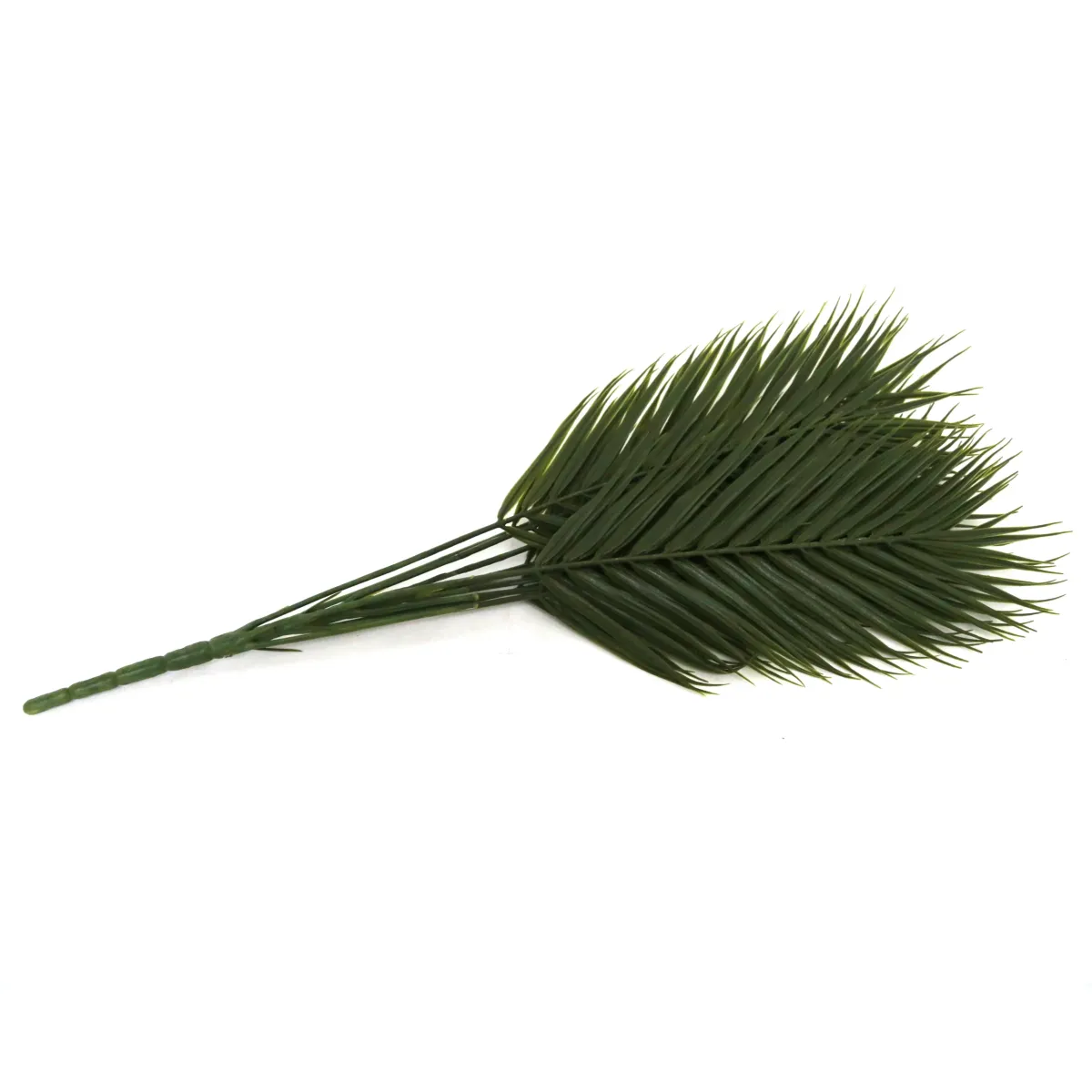 Green Palm Tree