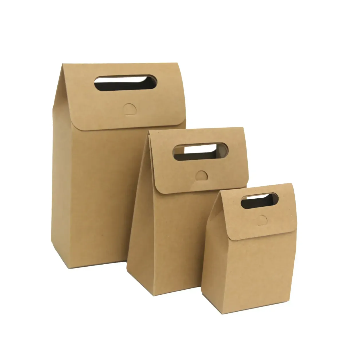 Patched D-Cut Handle Kraft Bag