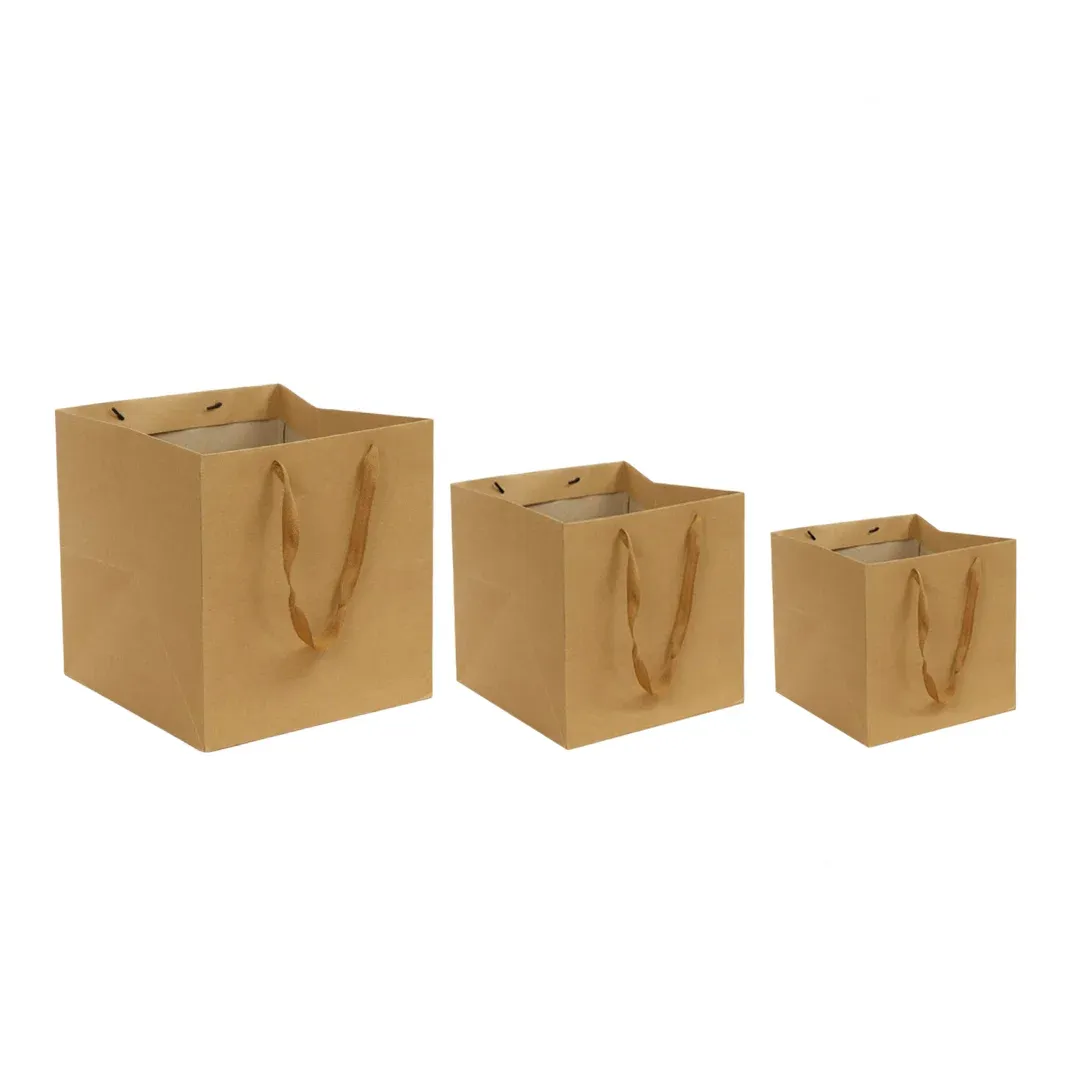 Cotton Handle Kraft Bag