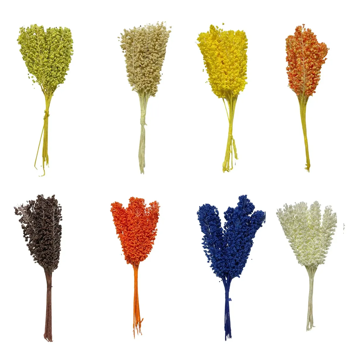 Long Colored Nafnaf Motif Decorative Floral Stems