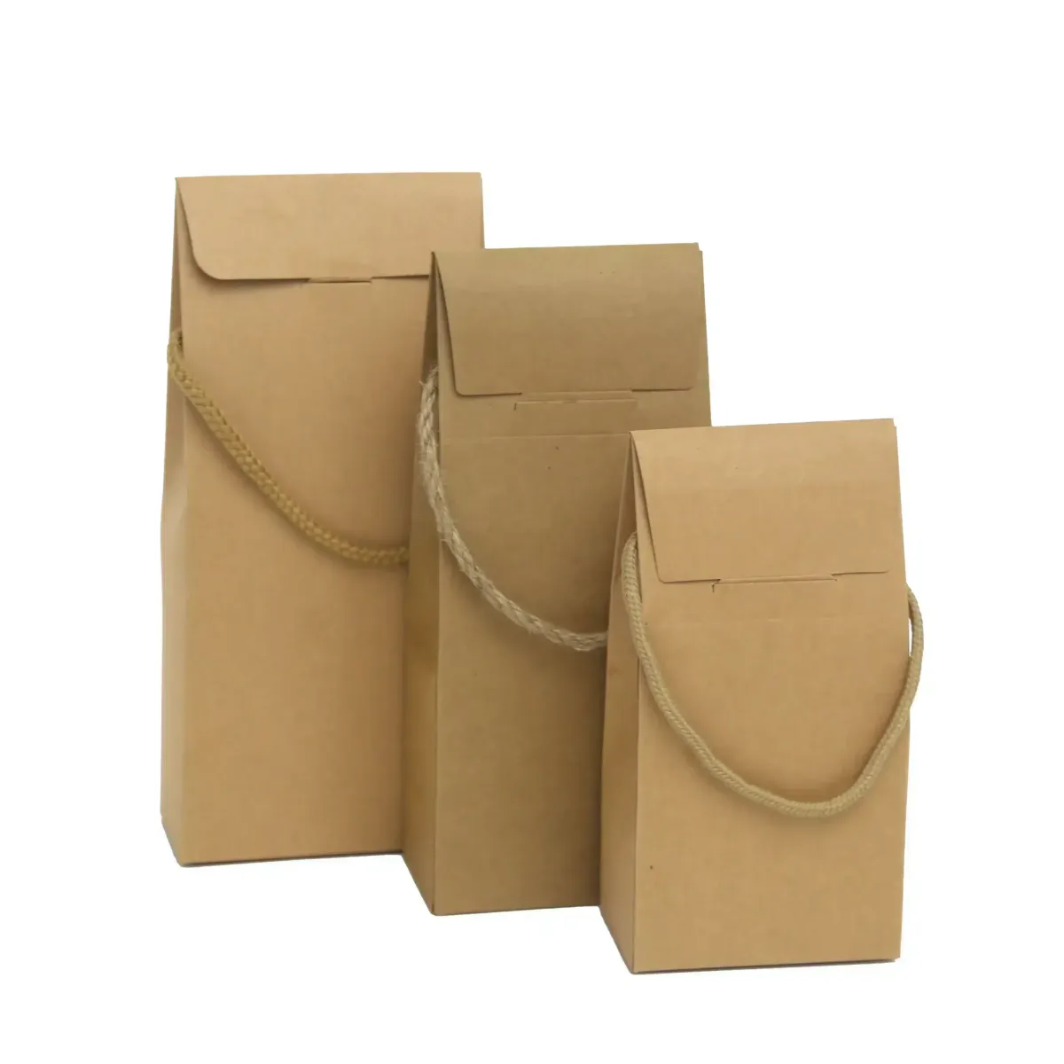 Rope Handle Kraft Bag
