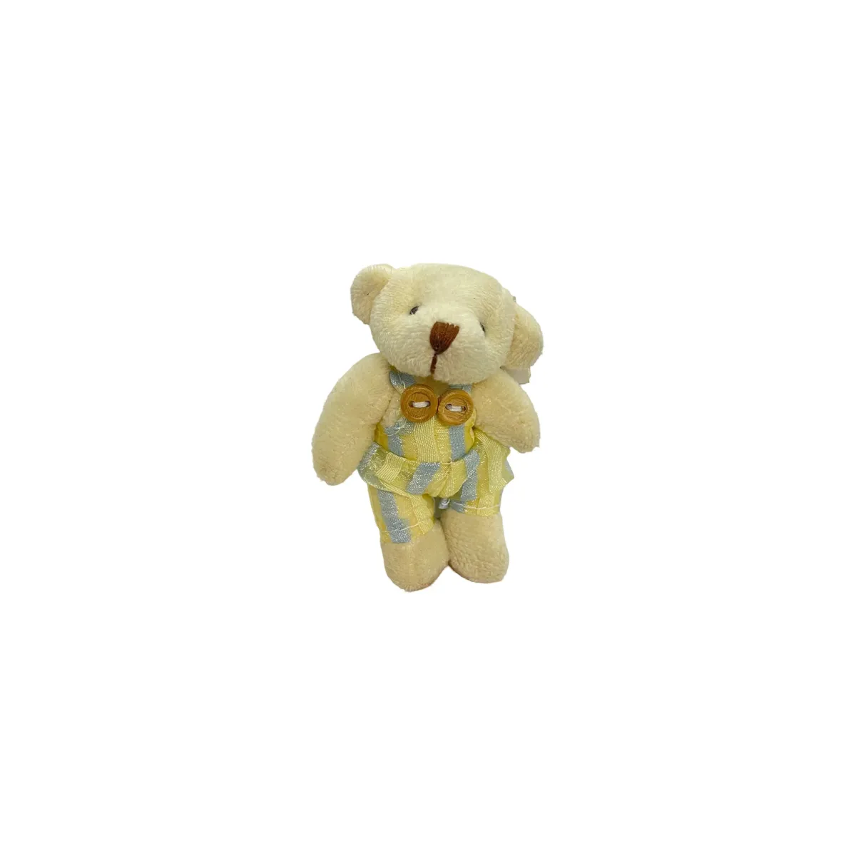 Bear Boy Wearing Organza