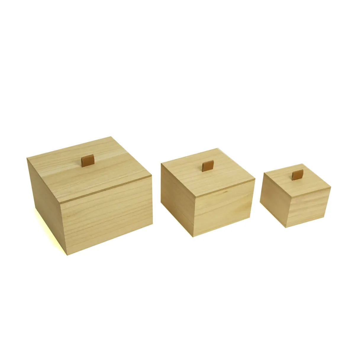 Plain Wooden Box With Mini Leather Handle