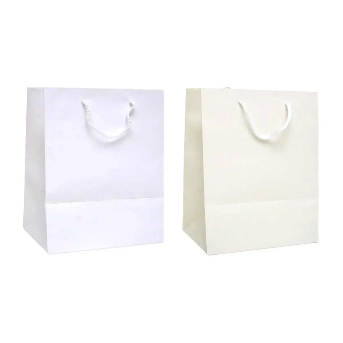 Rope Handle Carton Gift Bag