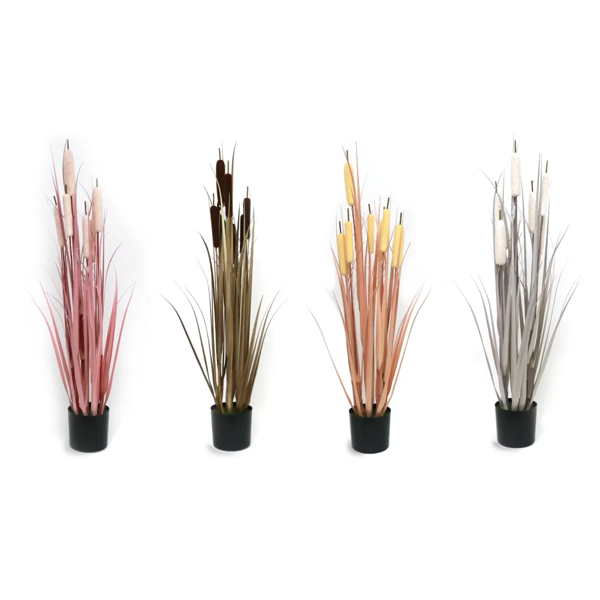 Cattaile Grass With Pot