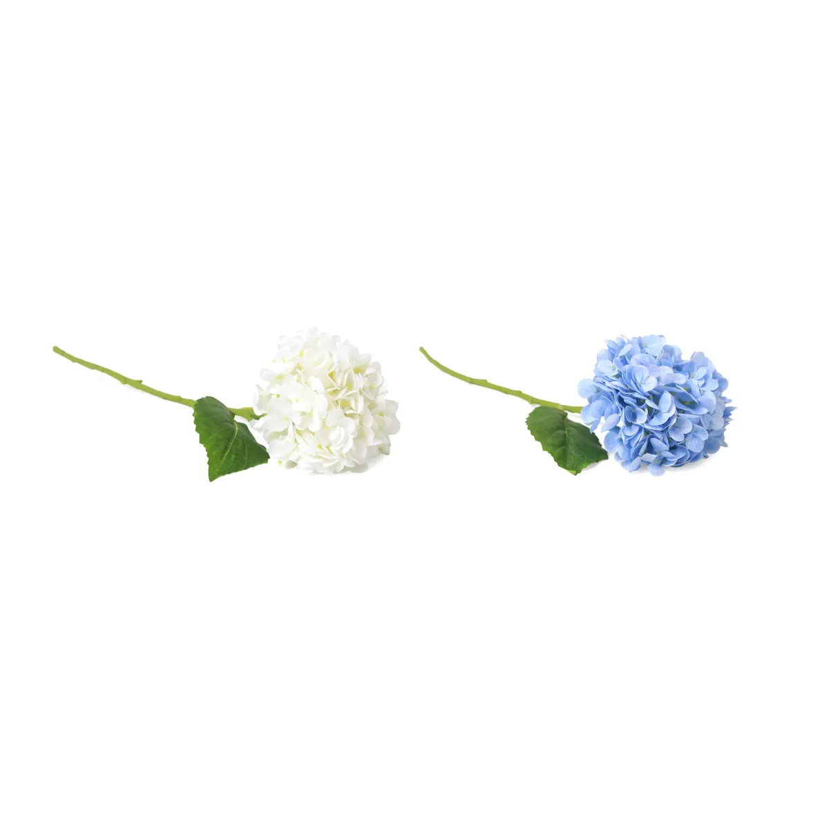 Single Small Hydrangea Branch