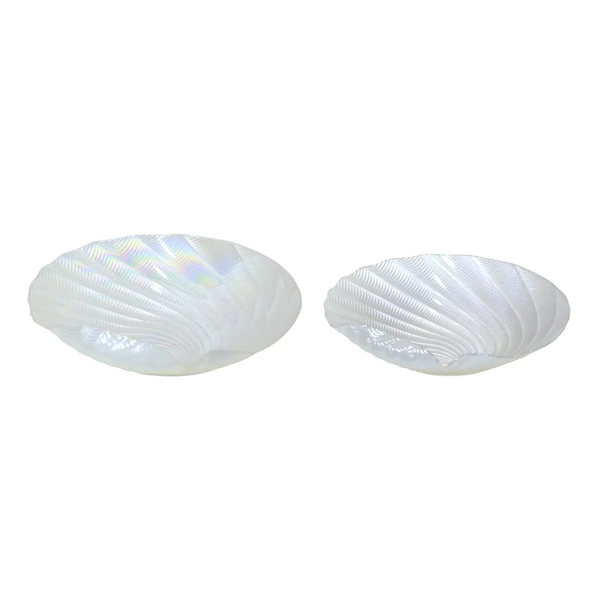 Spiral Seashell Decorative Plate