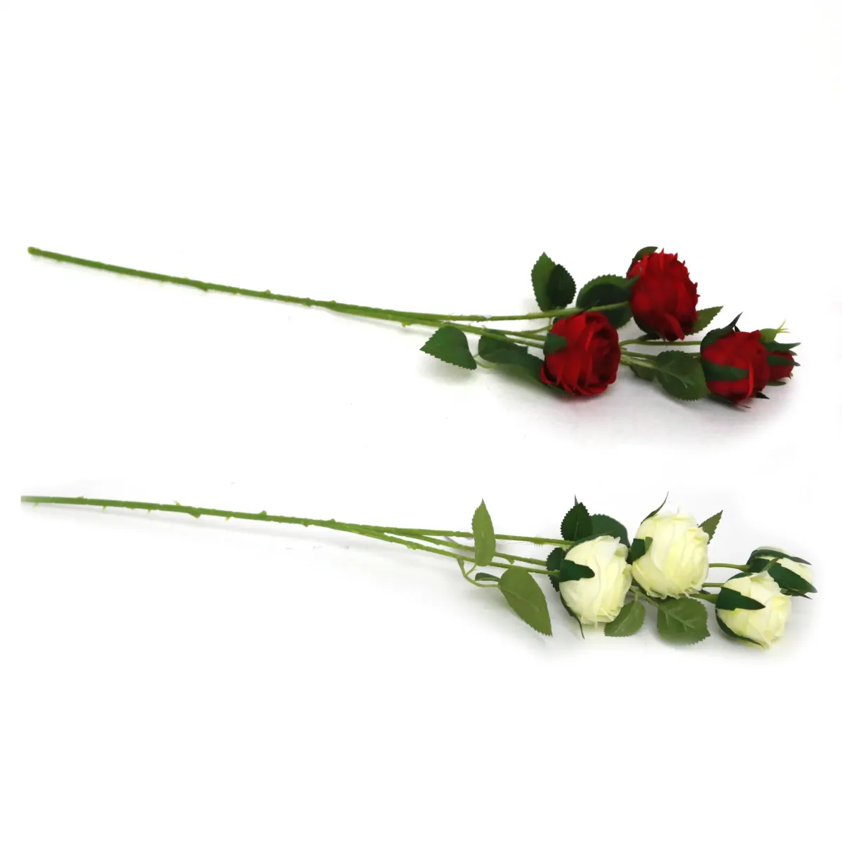 4 Heads Rose Branch