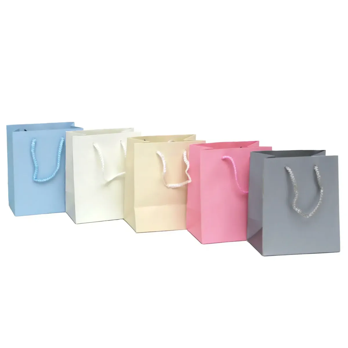 Rope Handle Carton Bag