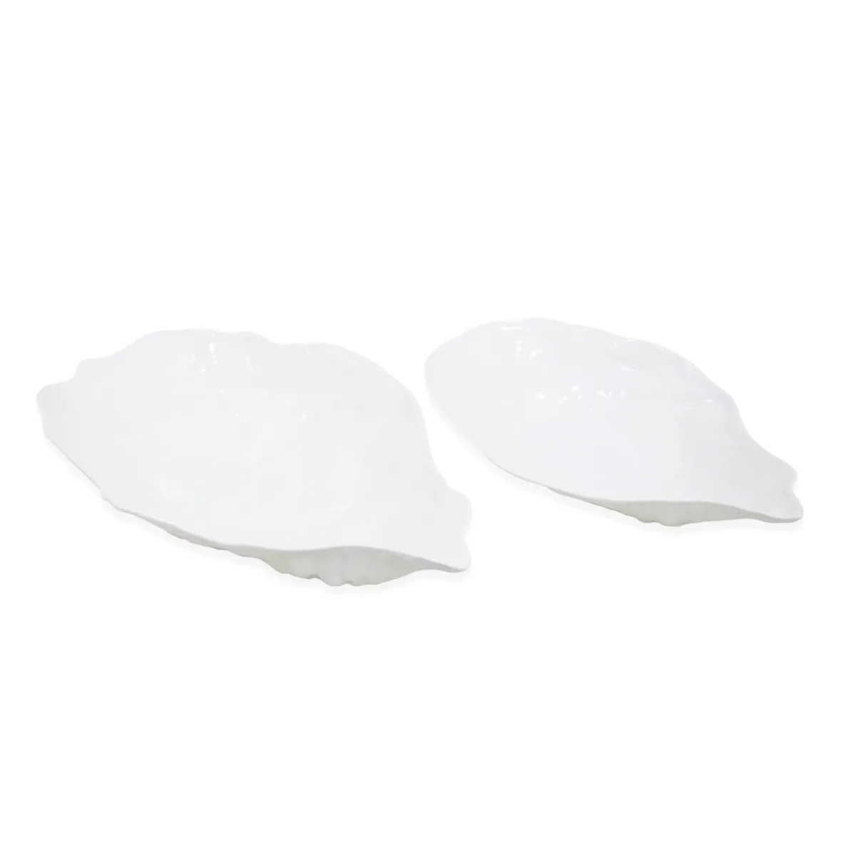 White Gastropod Shell Ceramic Bowl 