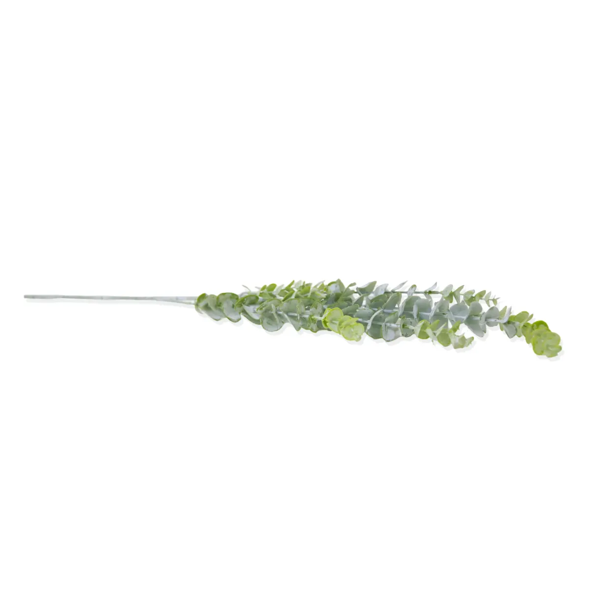 Bunch Of Artificial Eucalyptus Branch