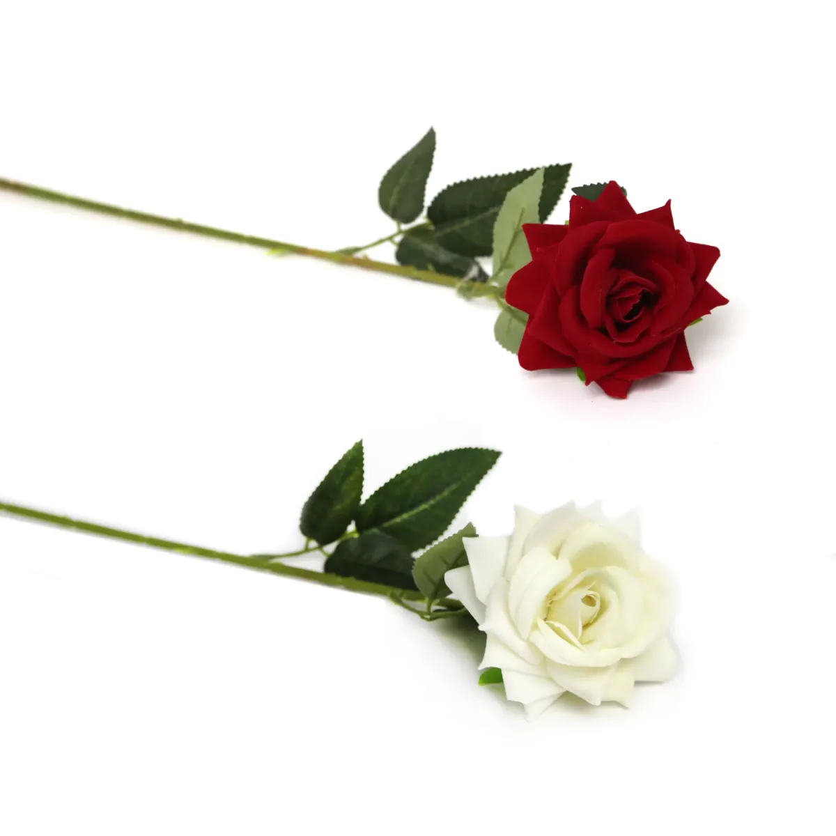 Single Velvet Hybrid Rose