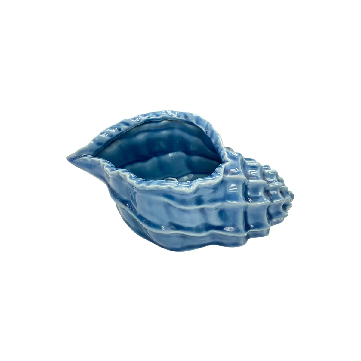 Blue Sea Shell Shape Pot