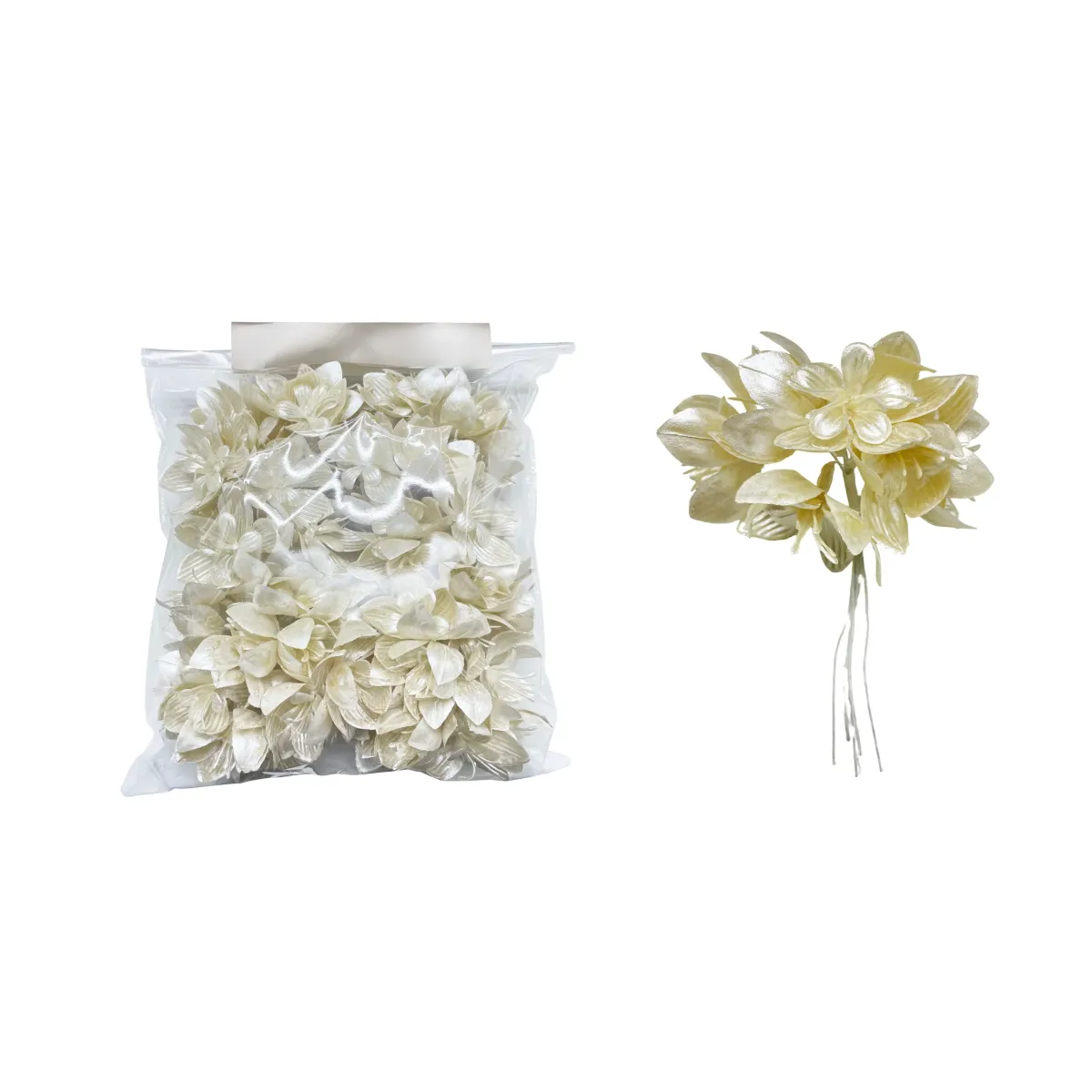 Ivory Pearl Magnolia Motif – Luxury Floral Applique