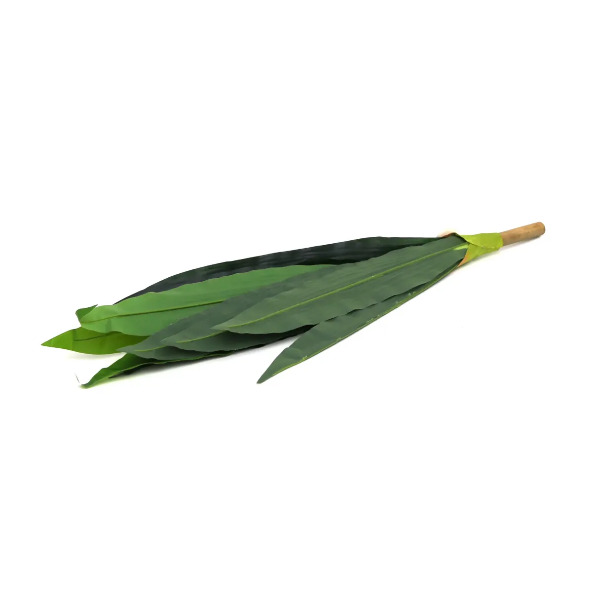 Bunch Of Tongue Leaves