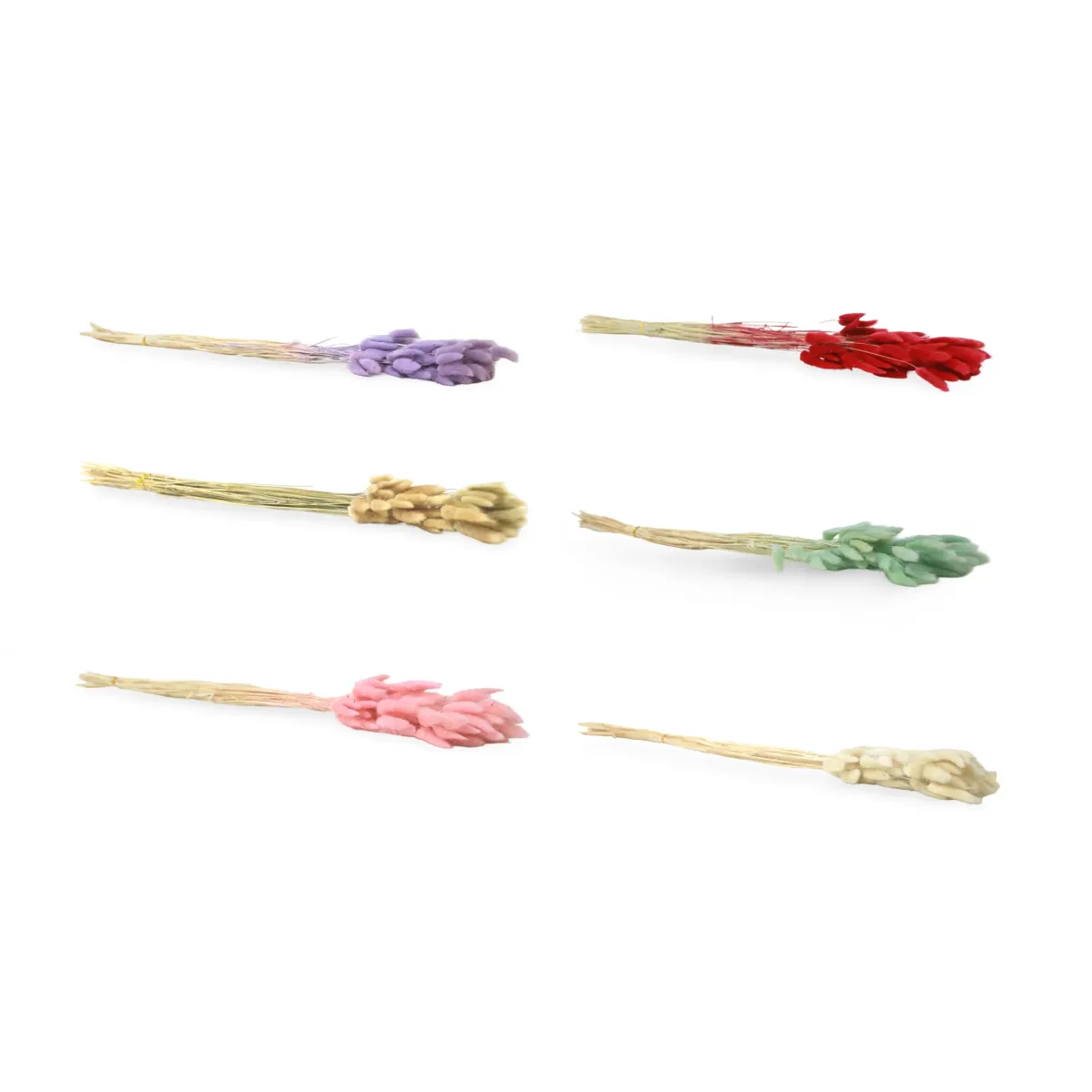 Colorful Dried Bunny Tail Bouquet