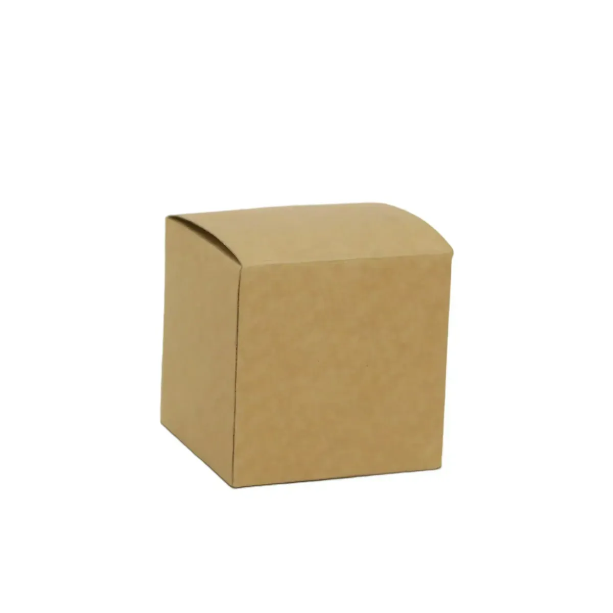 Folded Kraft Carton Box