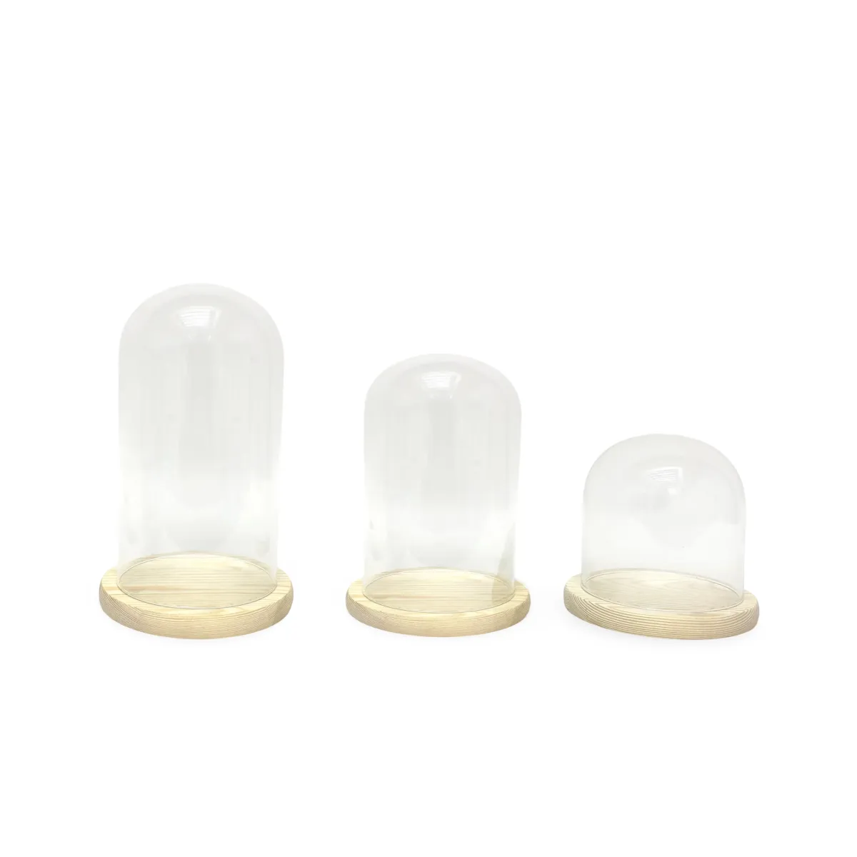 Wood Base Glass Cylinder