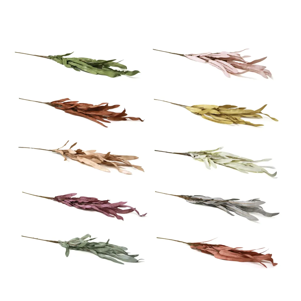 Willow Leaf Branch