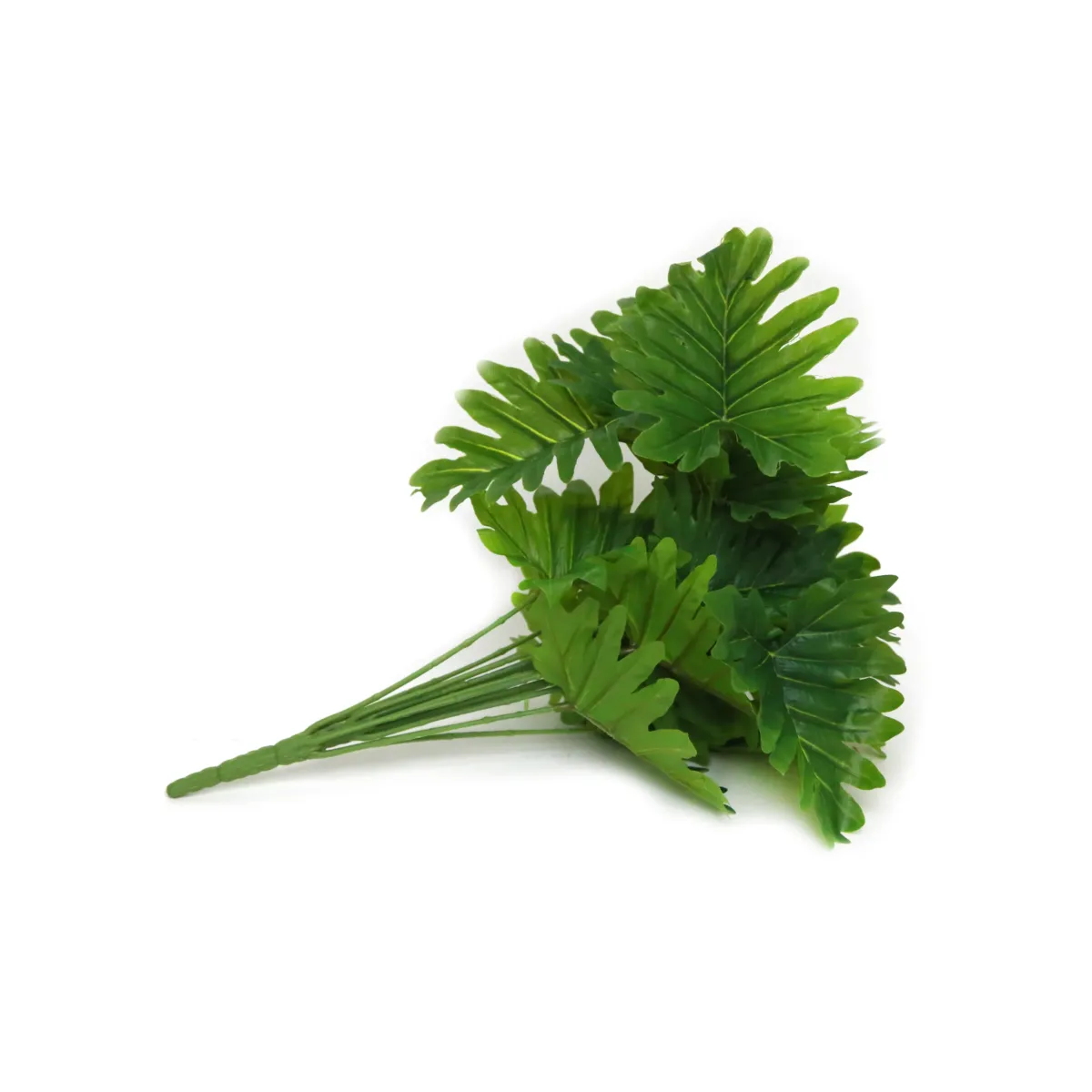Green Tropical Monestera Leaf