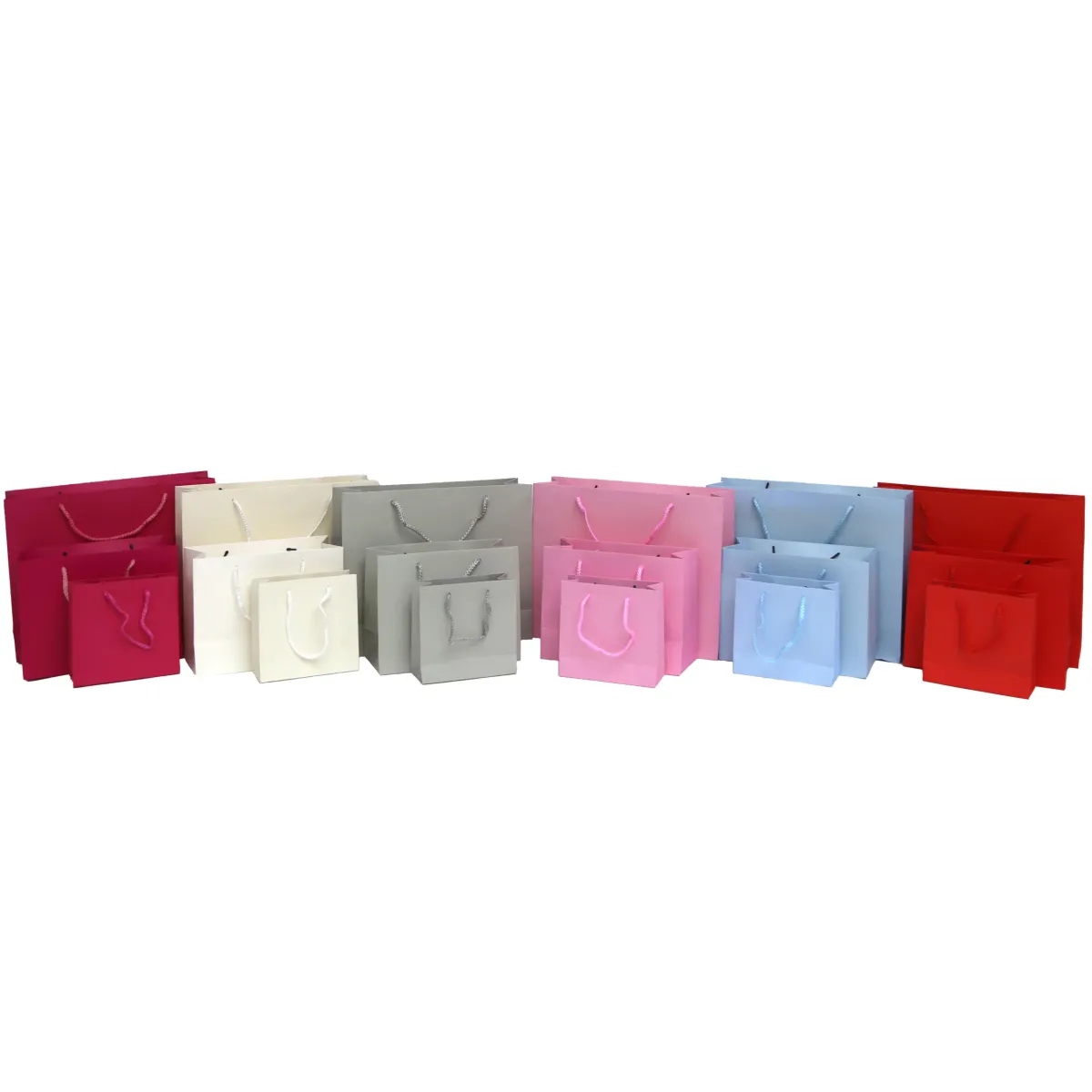 Rope Handle Carton Gift Bag