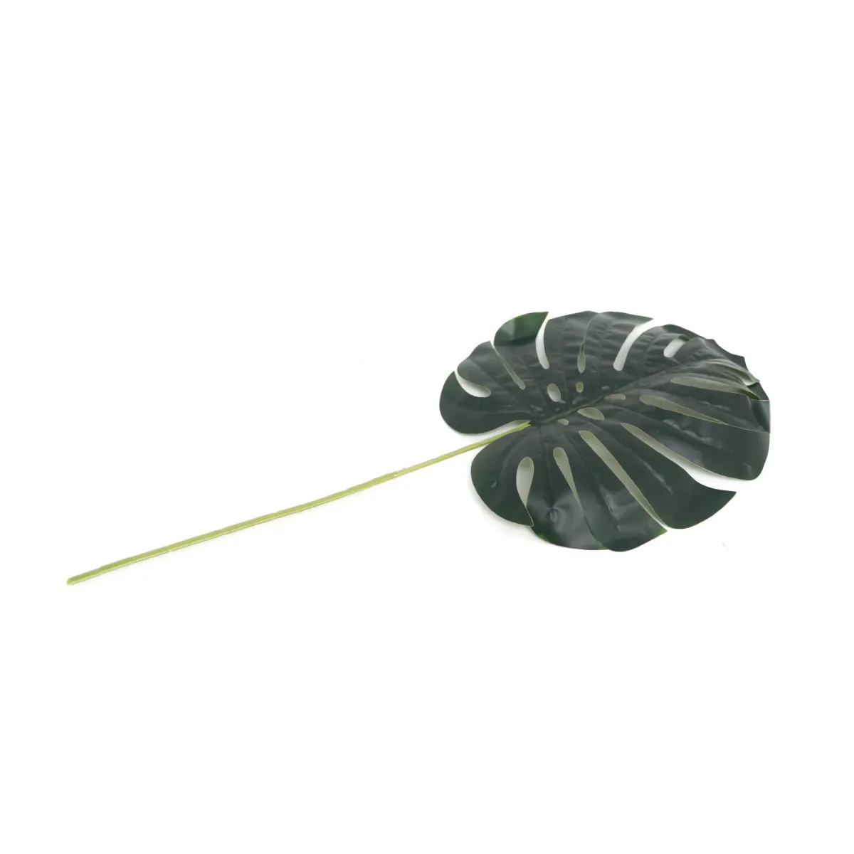 Single Monestera Green Leaf