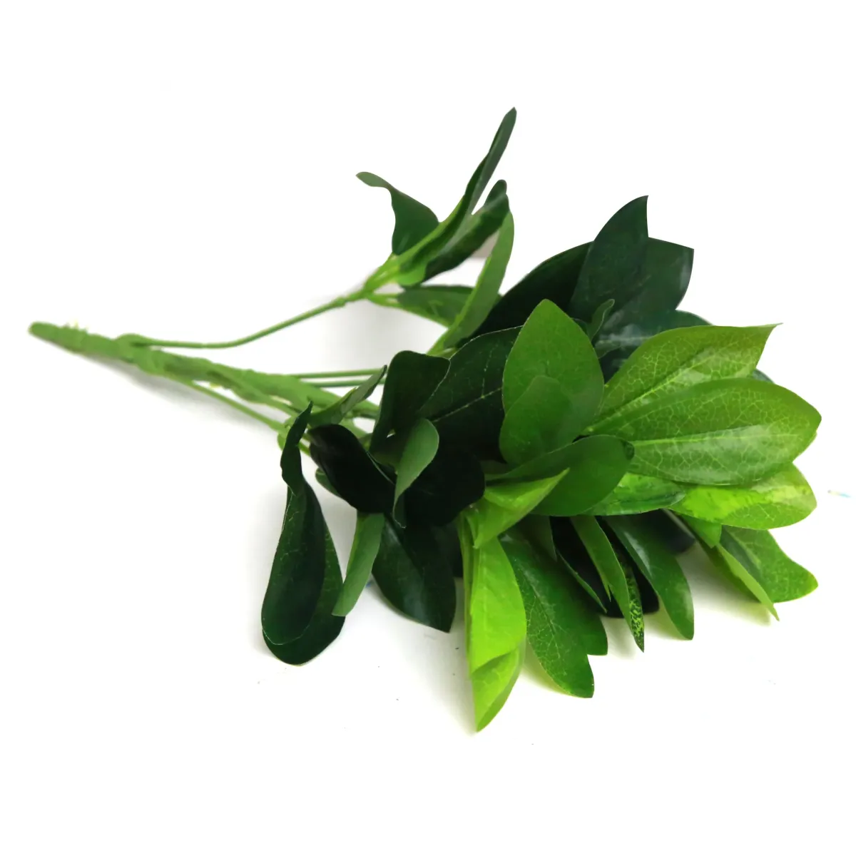 Bunch Of Laurel Leaves