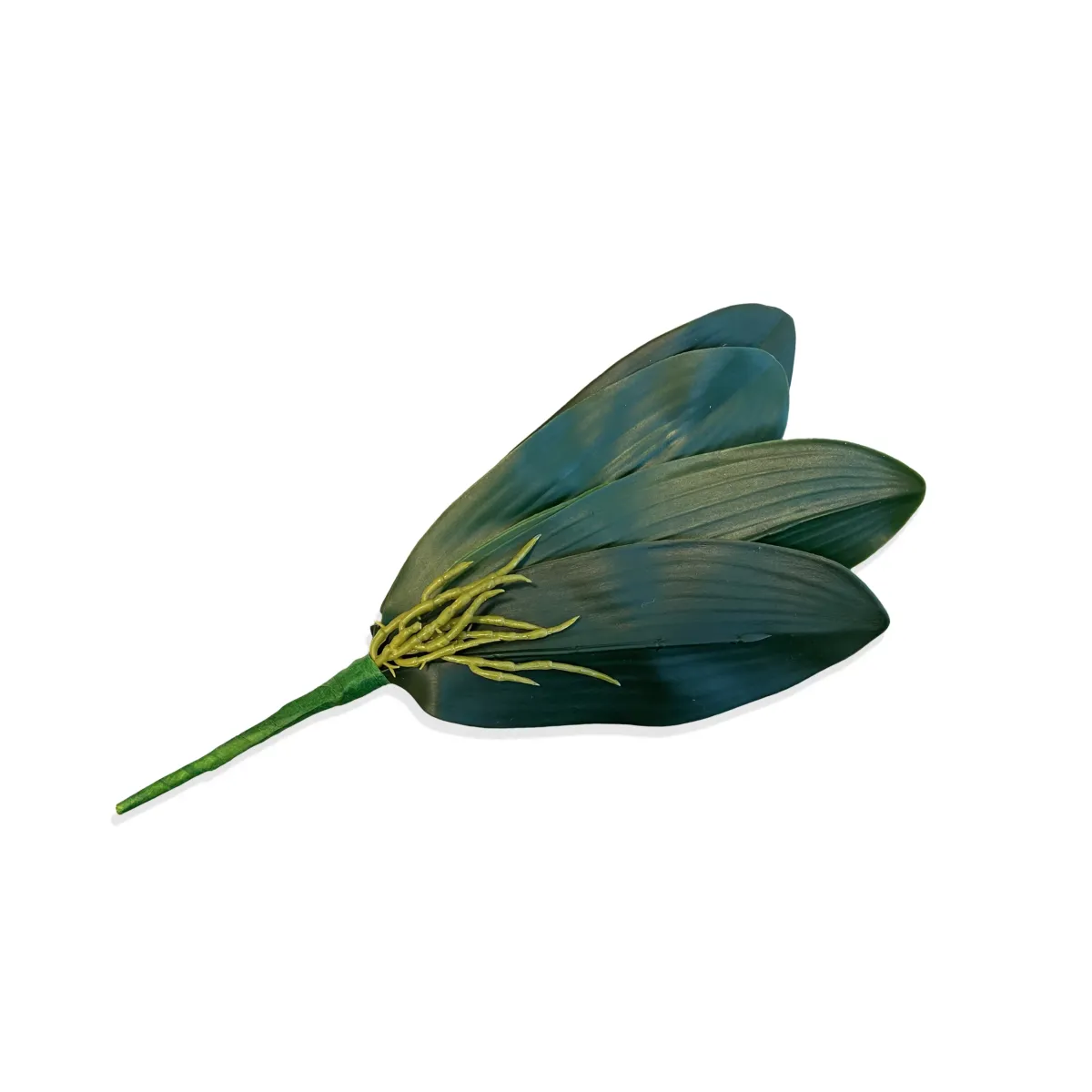 Set Of 5 Orchid Leaves