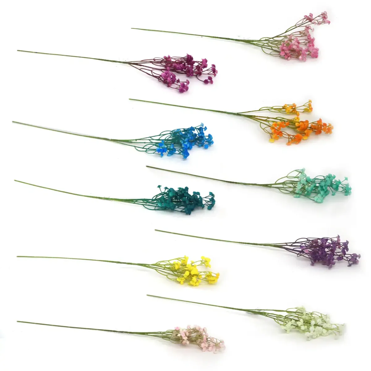 Baby Breath Branch