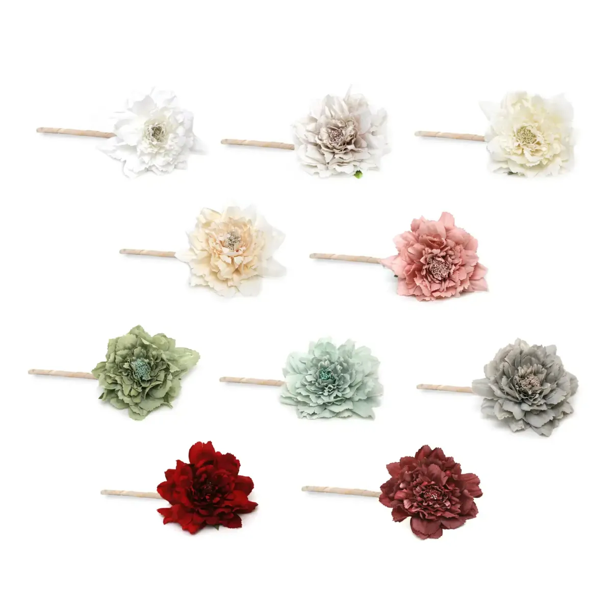 Single Colored Aster Flower With Short Stem
