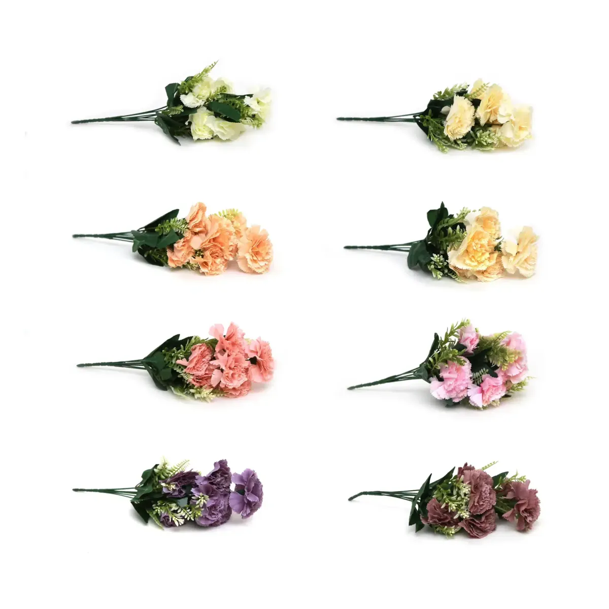Carnation Flowers