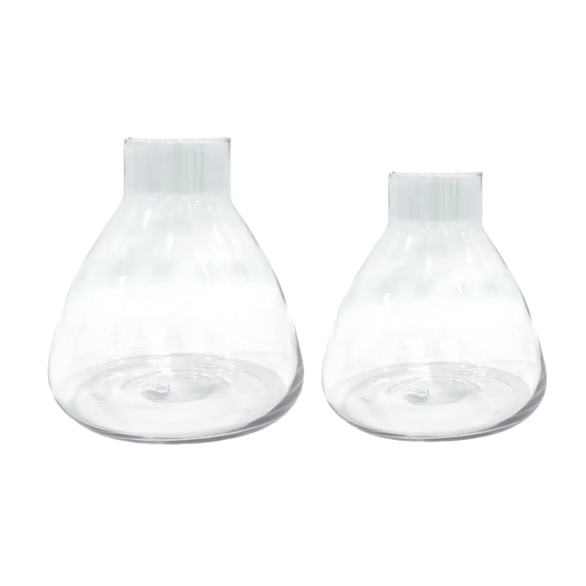 Modern Clear Glass Bottle Vase