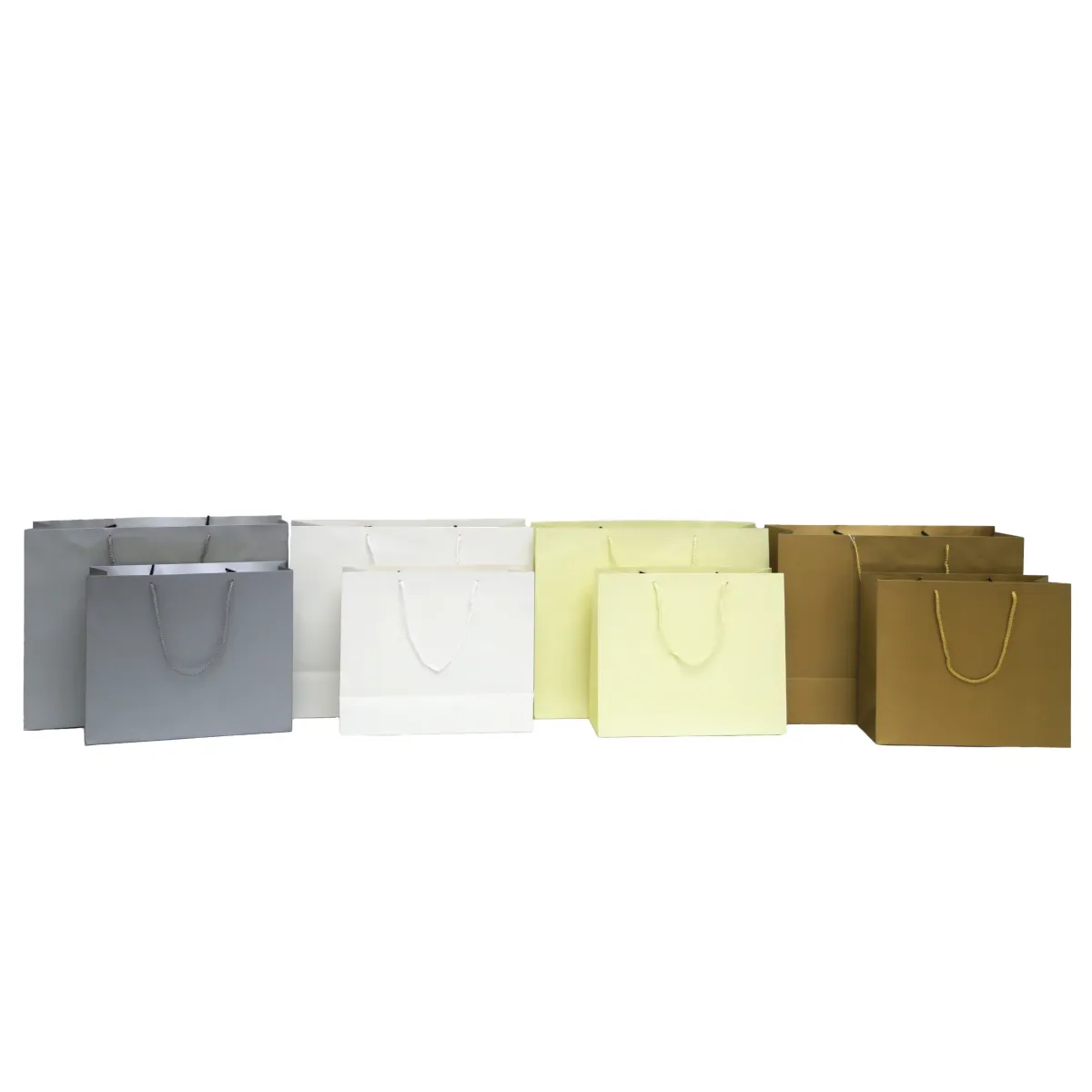 Rope Handle Carton Gift Bag