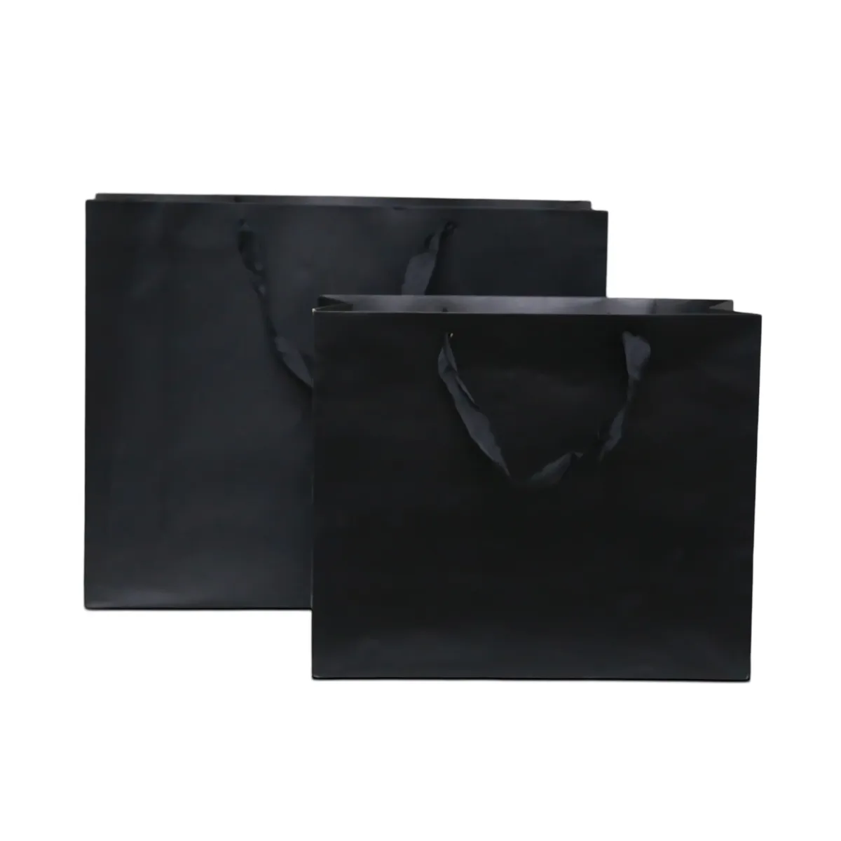 Black Ribbon Handle Carton Gift Bag