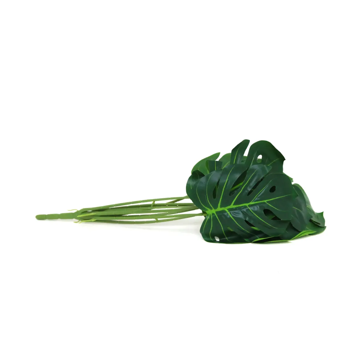 Bunch Of Monstera Leaves