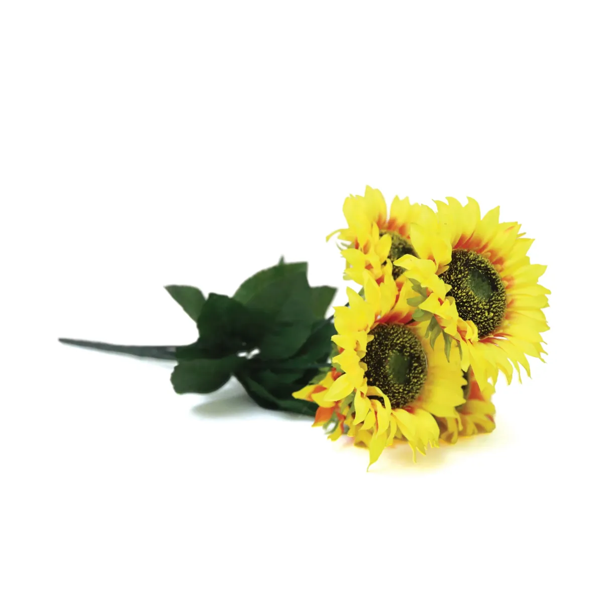 7 Heads Sunflower Green Leaves Bunch