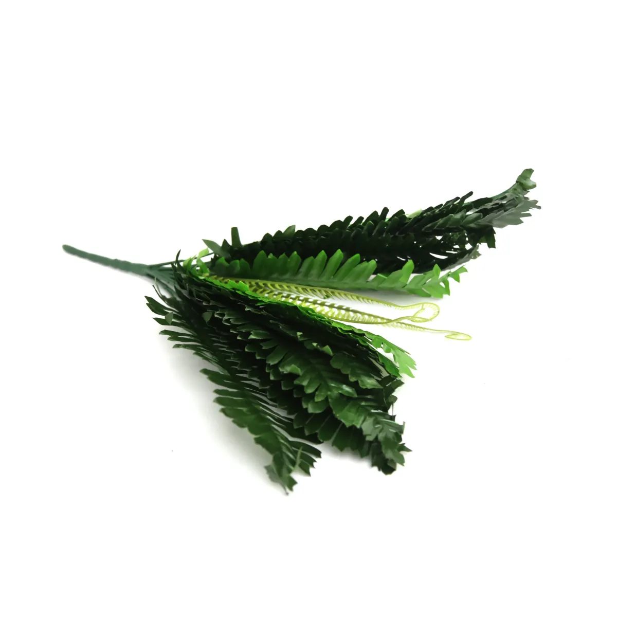 Bunch Of Green Leaves