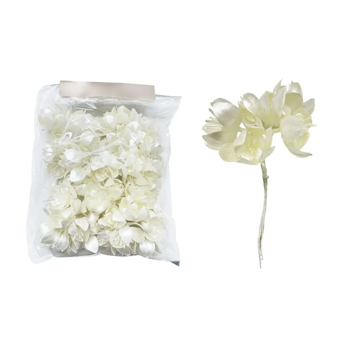 Ivory Pearl Magnolia Motif – Elegant Floral Applique