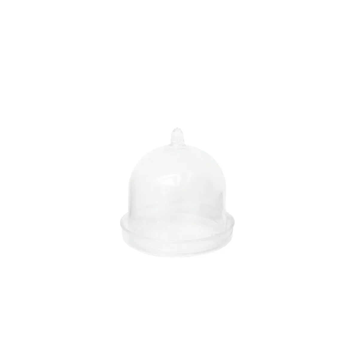 Cake Box Plexi Container