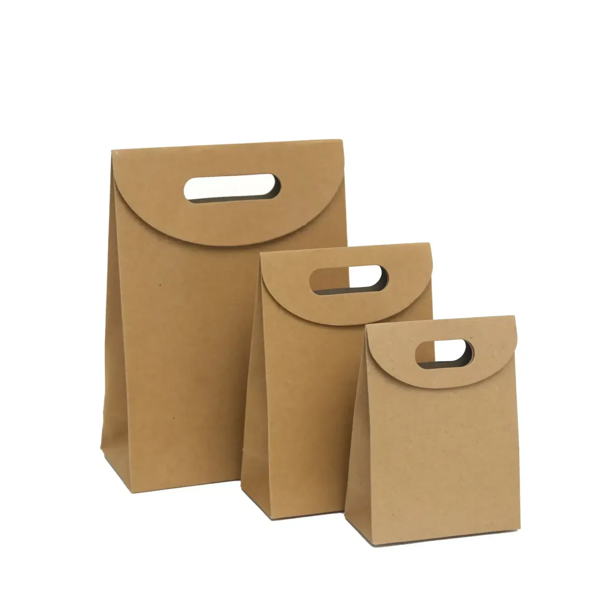 Patched D-Cut Handle Kraft Bag