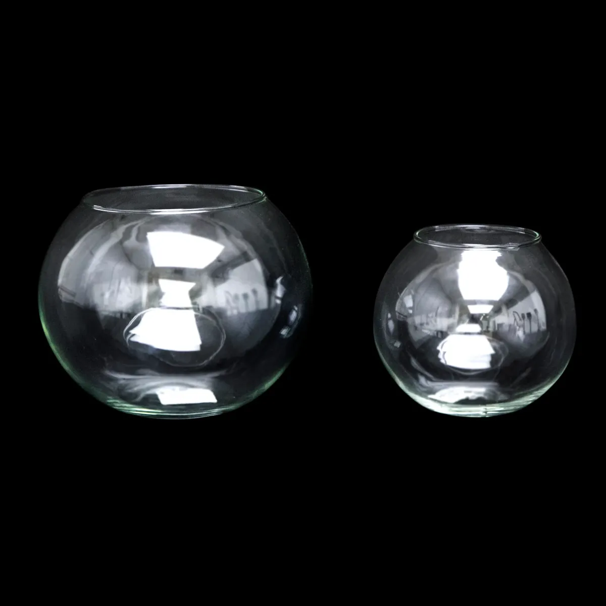 Transparent Fish Bowl Glassware