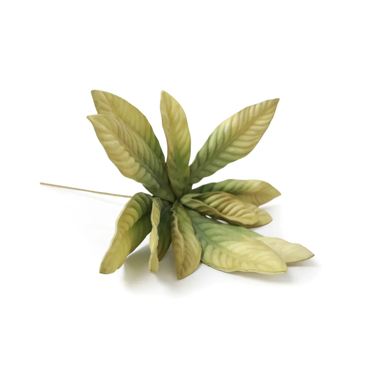 Green Leaf Branch
