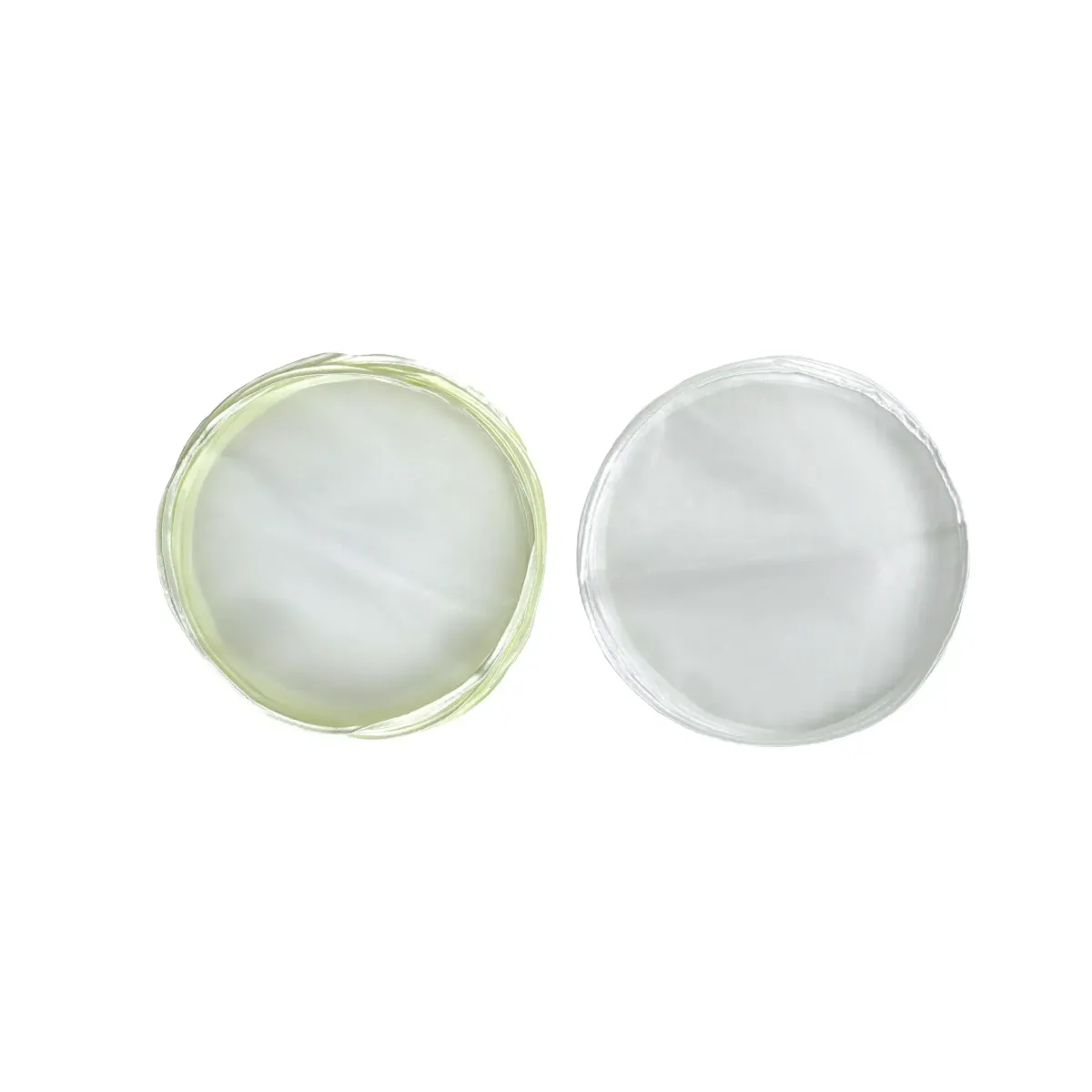 Satin Edged Round Organza Tulle – Elegant Decorative Holder