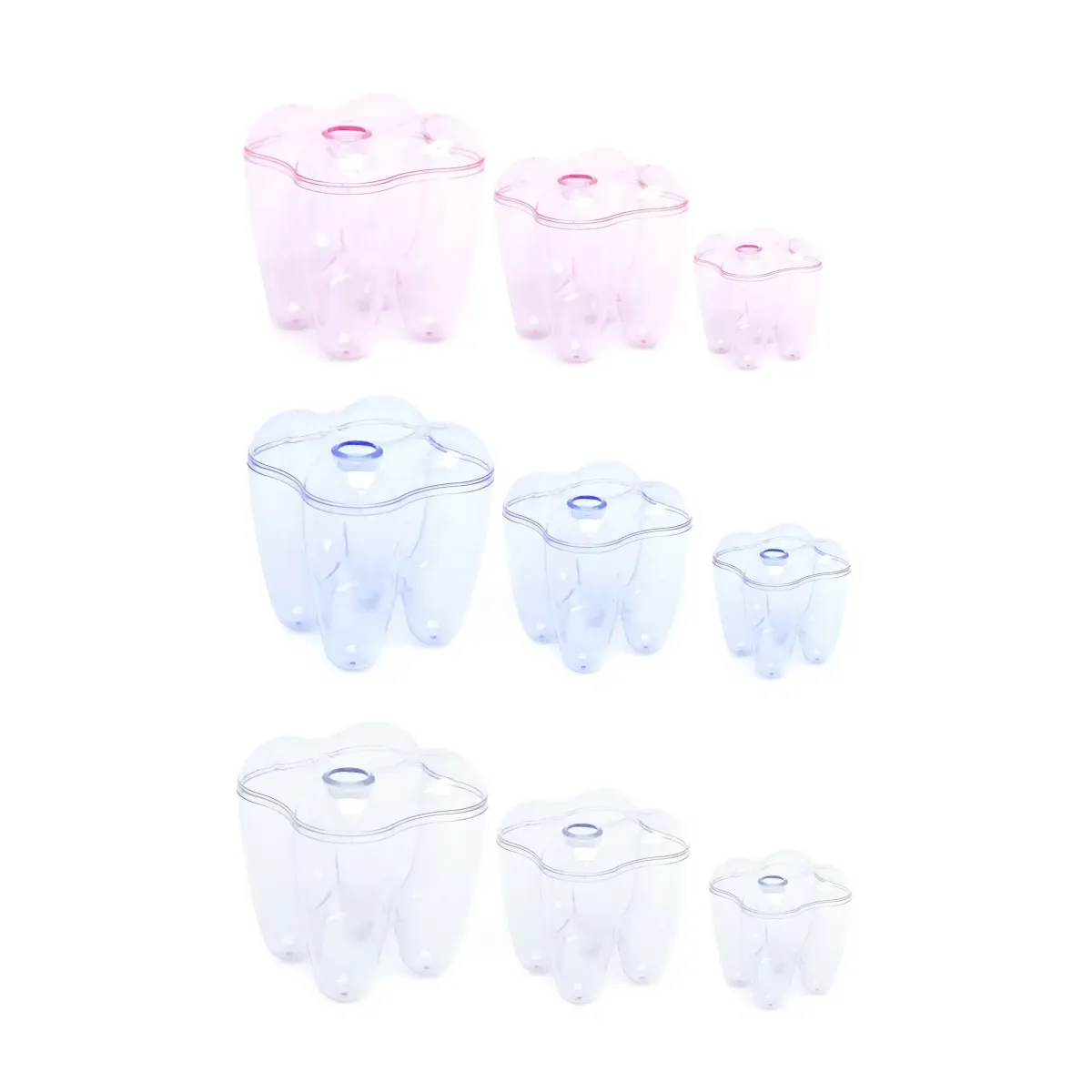 Tooth Plexi Container – Baby First Tooth Keepsake Box (Blue/Pink/Clear)