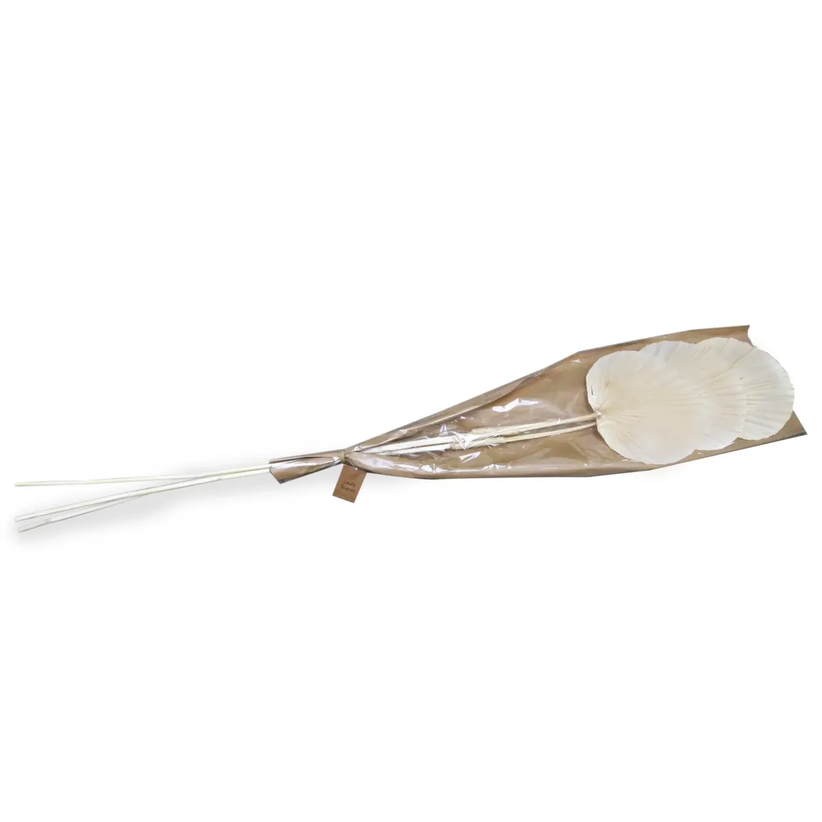 Palm Spear Round Cut